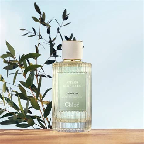 chloe santalum perfume|Santalum Chloé perfume .